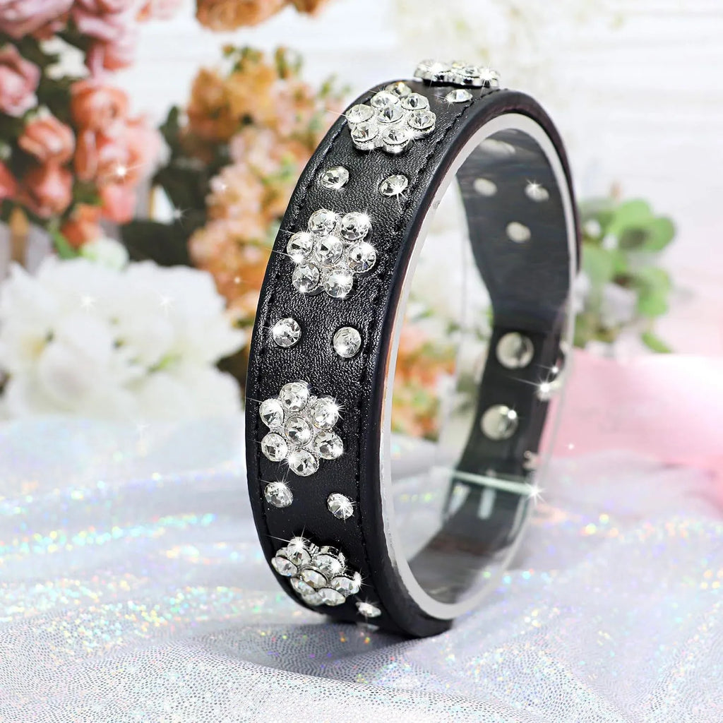 PU leather dog collar with studded rhinestone flower pattern in colour, showing metal D-ring and adjustable eyelets.