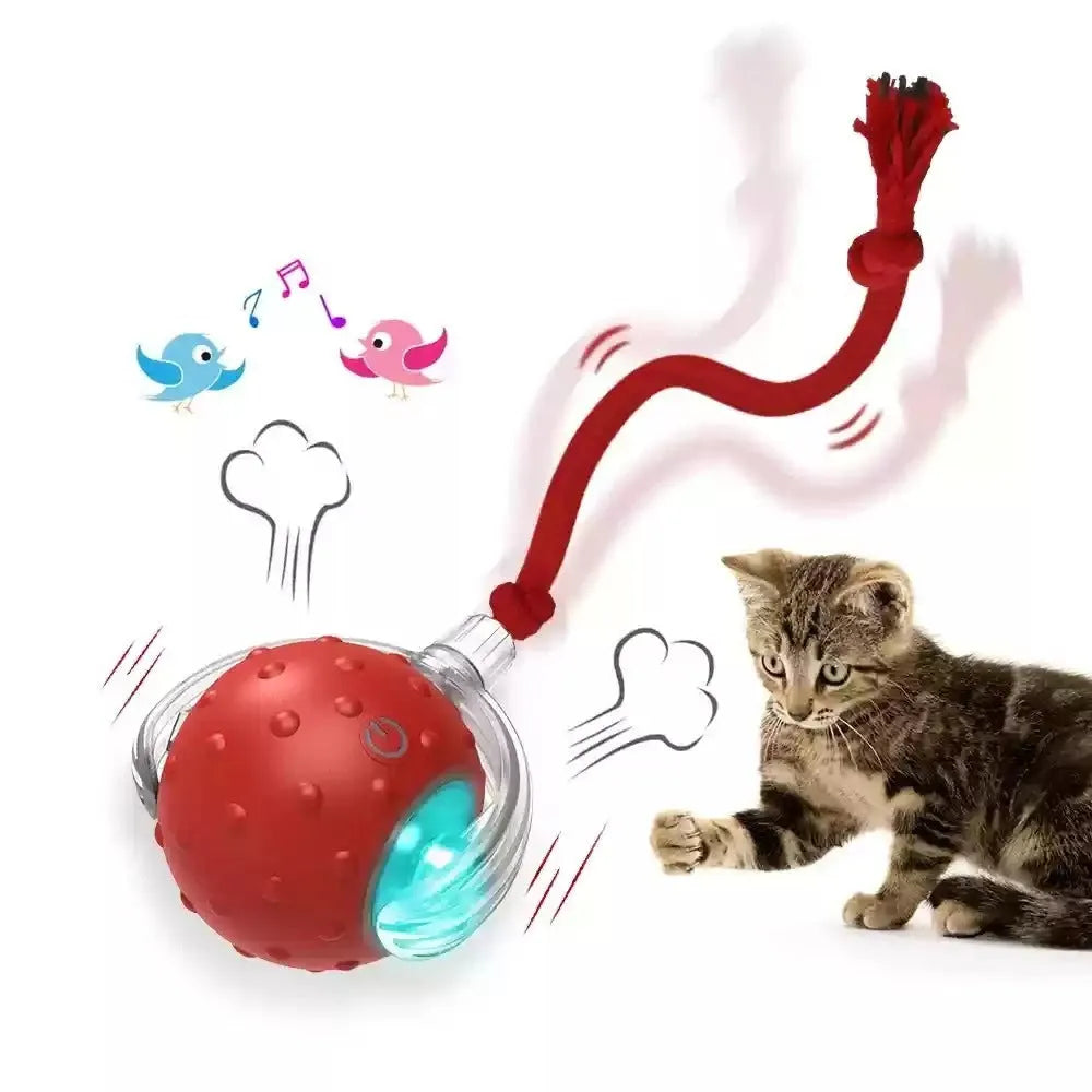 Blue interactive cat toy ball with automatic rotation mechanism for indoor pet entertainment