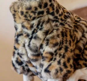 Fluffy leopard print short plush cat coat for hairless cats, sizes M to XL, warm pet apparel.