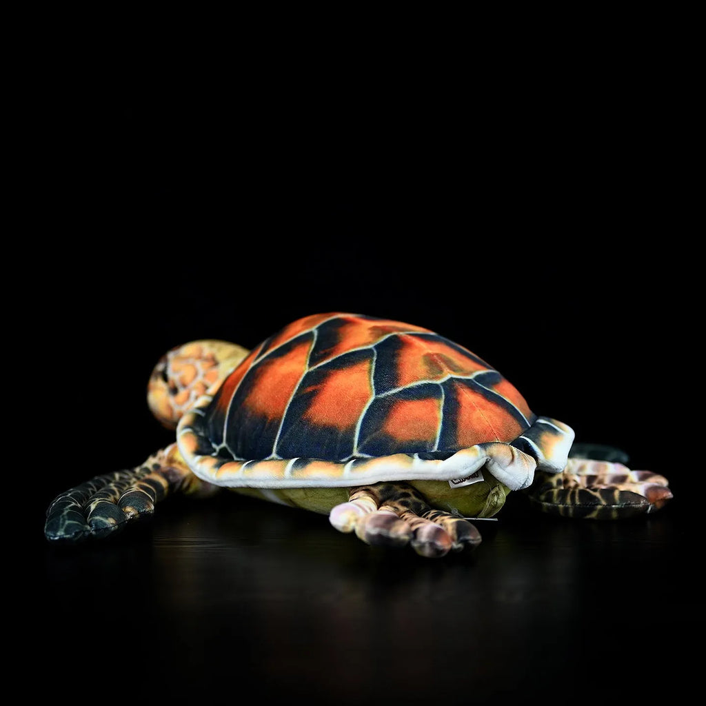 Brown turtle plush toy 32cm from mouth to tail with soft plush fabric and PP cotton filling
