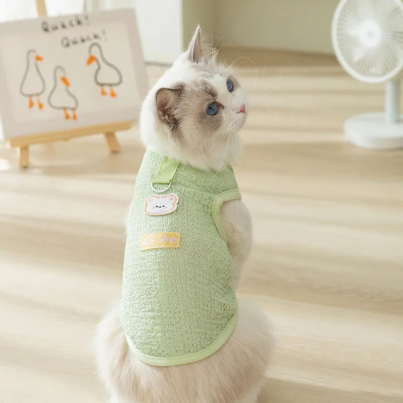 Cat wearing hollowed-out knitted clothes with bear patch decoration in blue colour