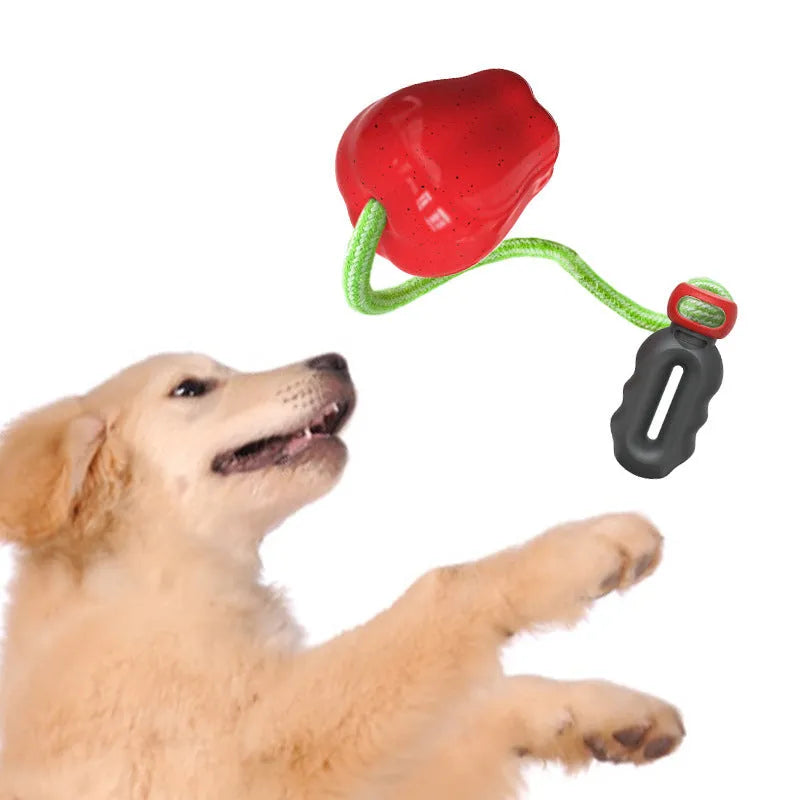 Green plastic dog food dropping ball with dental molar texture for interactive chewing and feeding