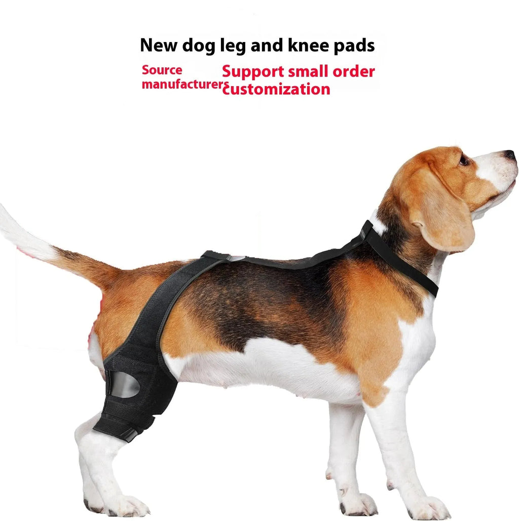 A neoprene dog hind leg knee brace assist strap shown in multiple colours including black, blue, and orange.