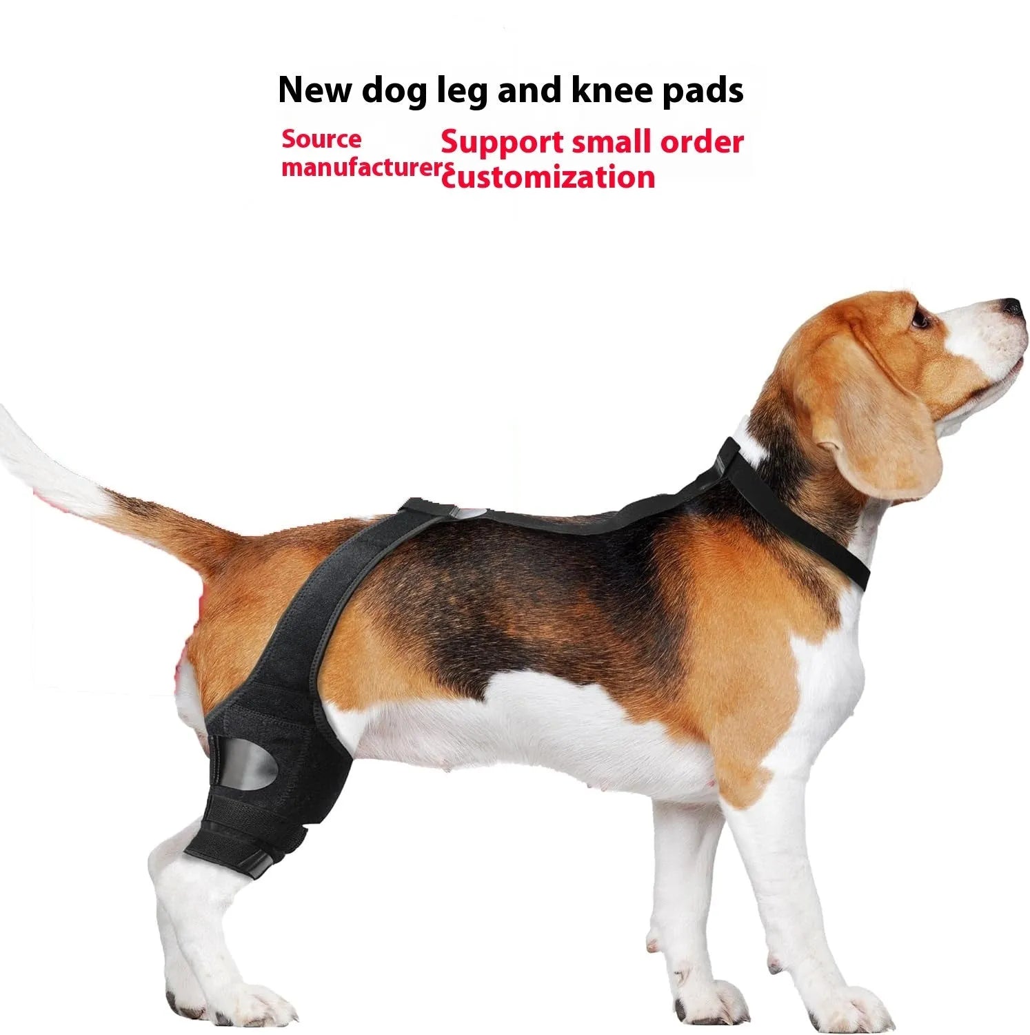 A neoprene dog hind leg knee brace assist strap shown in multiple colours including black, blue, and orange.