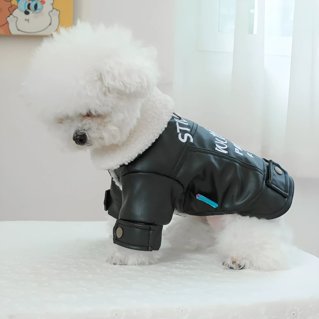 Dog wearing fleece lined padded coat with large fur trim collar in black colour
