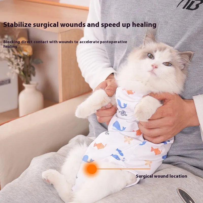 Cat wearing a blue polyester post-operative recovery suit with velcro fastenings on its back and neck.