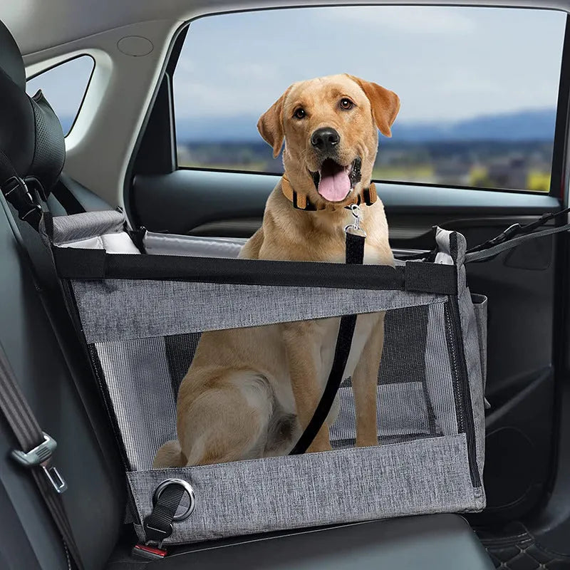 Collapsible oxford cloth dog crate in black, shown with dimensions 49cm wide by 49cm deep by 38cm tall