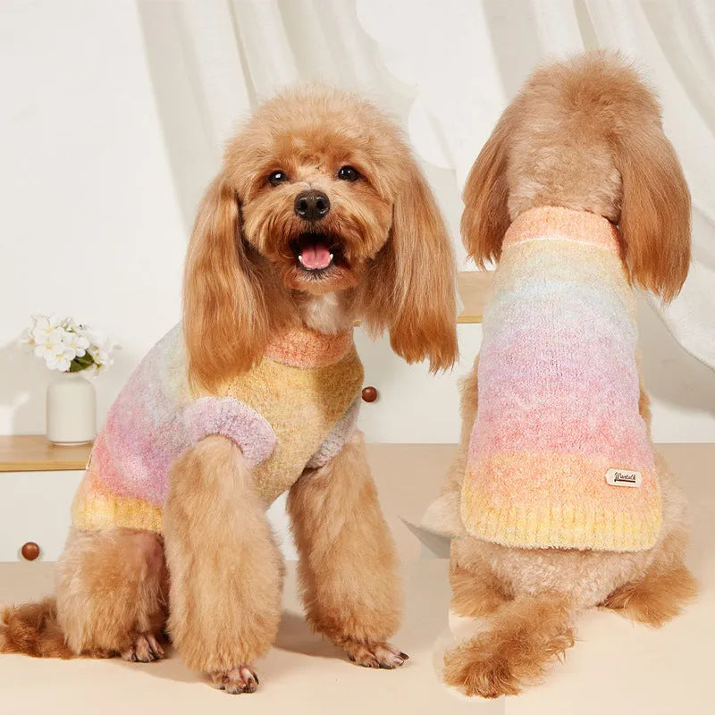 Rainbow circle pattern dopamine style pet sweater in wool acrylic blend
