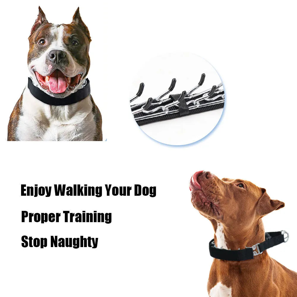 Stainless steel spike dog training collar in reflective blue, shown in size L for medium dog breeds.