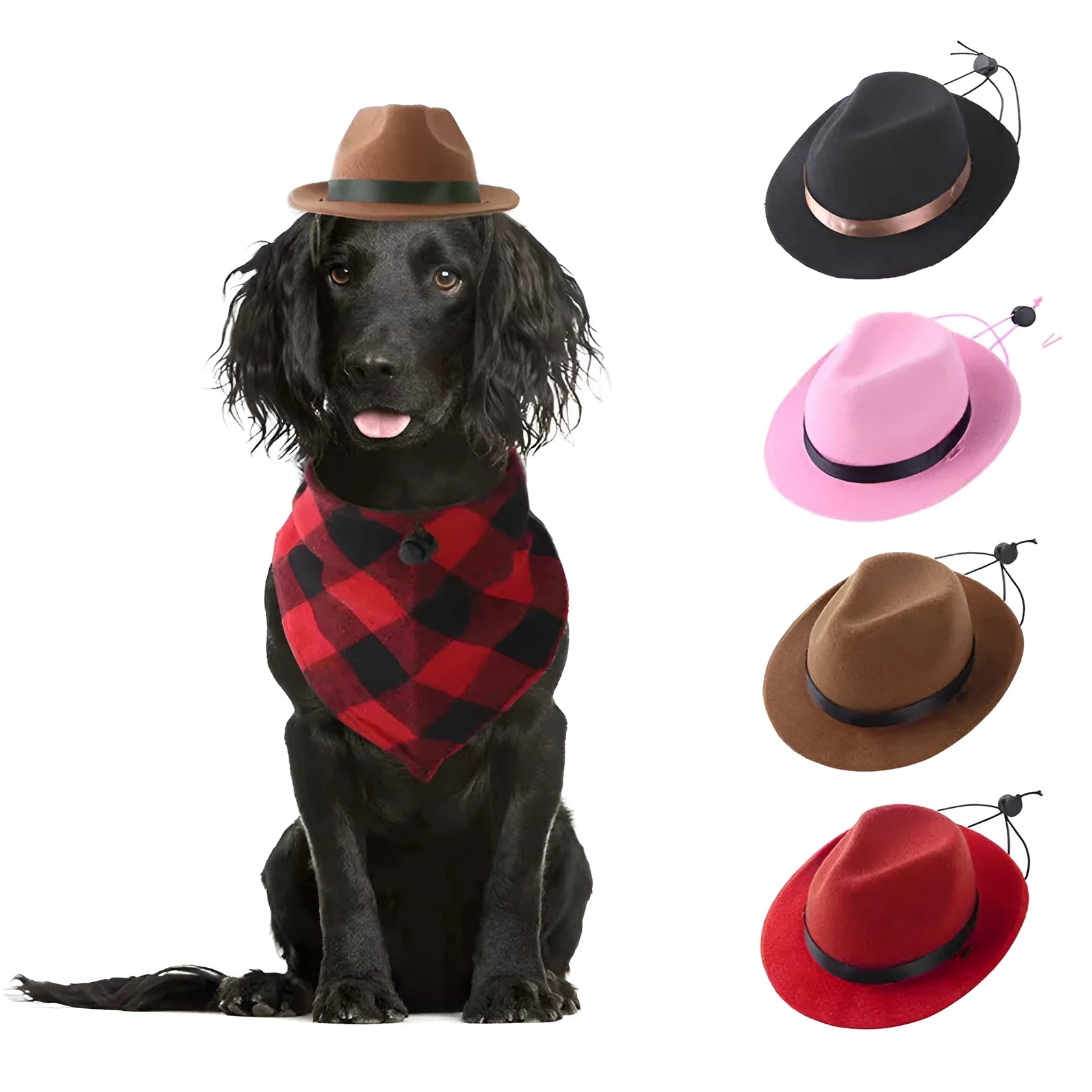Mini wool felt pet hat in pink, black, brown, or red for small cats and dogs with hairpin.