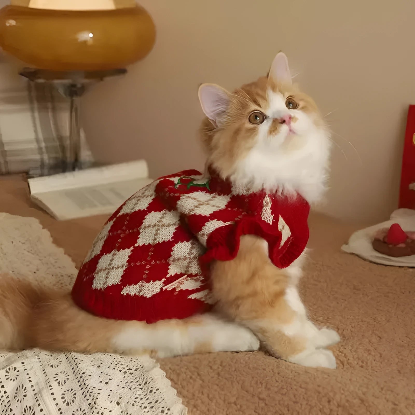 Red cat sweater with cherry pattern and rhombic embroidery, shown on a model cat.