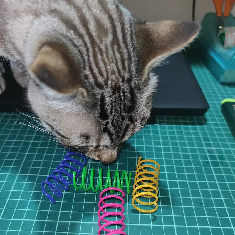 Mixed colour plastic cat spring toys measuring 5.5cm long for kitten and cat play