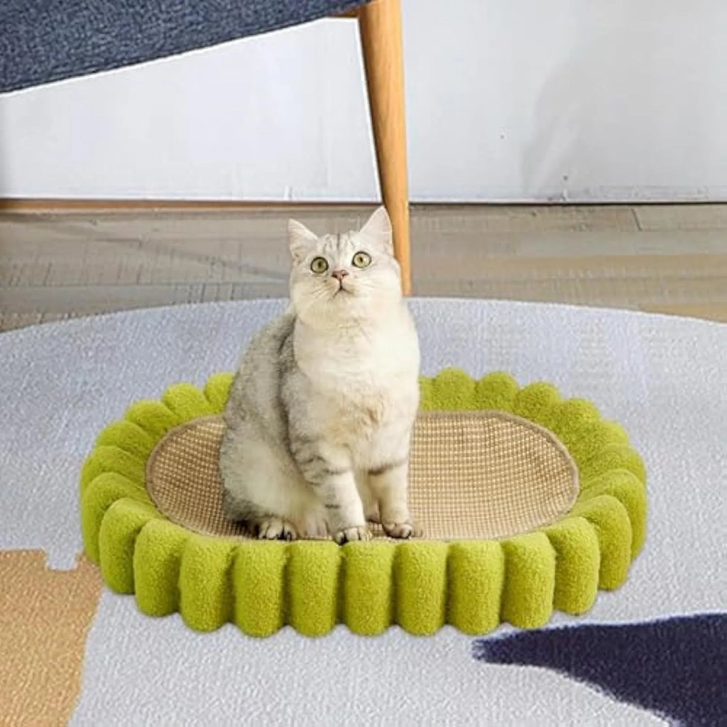 Green oval cat scratch pad bowl made of sisal measuring 650mm x 420mm