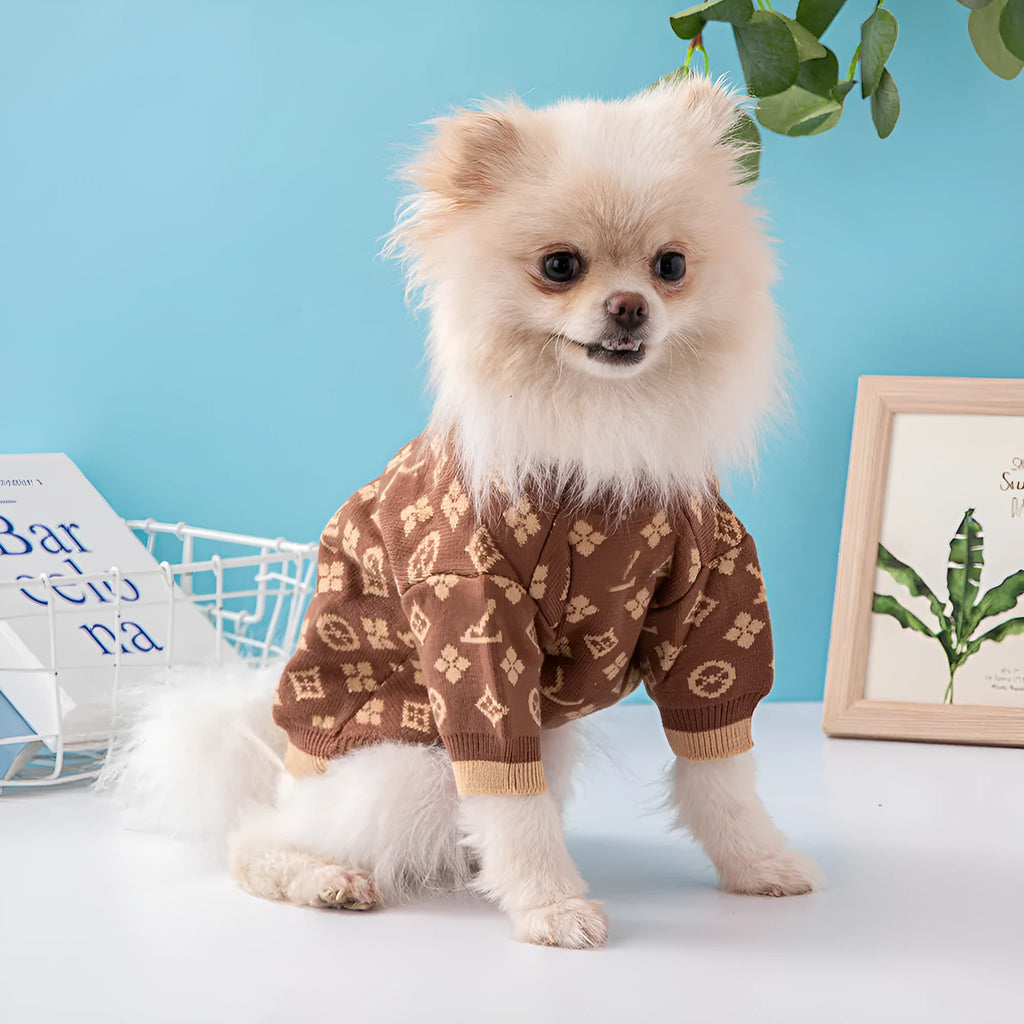 A thick knitted wool dog sweater shown in a two-tone colour, sized for a small breed.