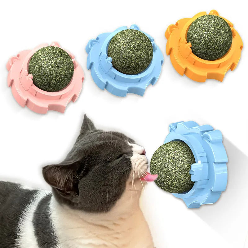 Orange PP plastic cat toy shaped like a molar tooth with textured chewing surfaces