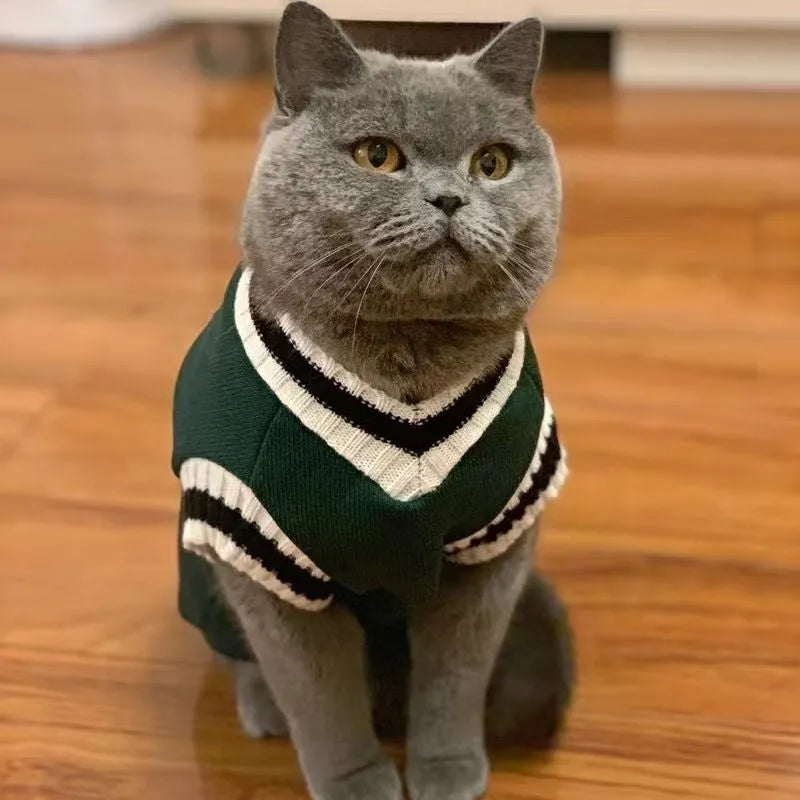 Winter cat clothing in blue duck colour on British Shorthair cat showing size range XS to 2XL
