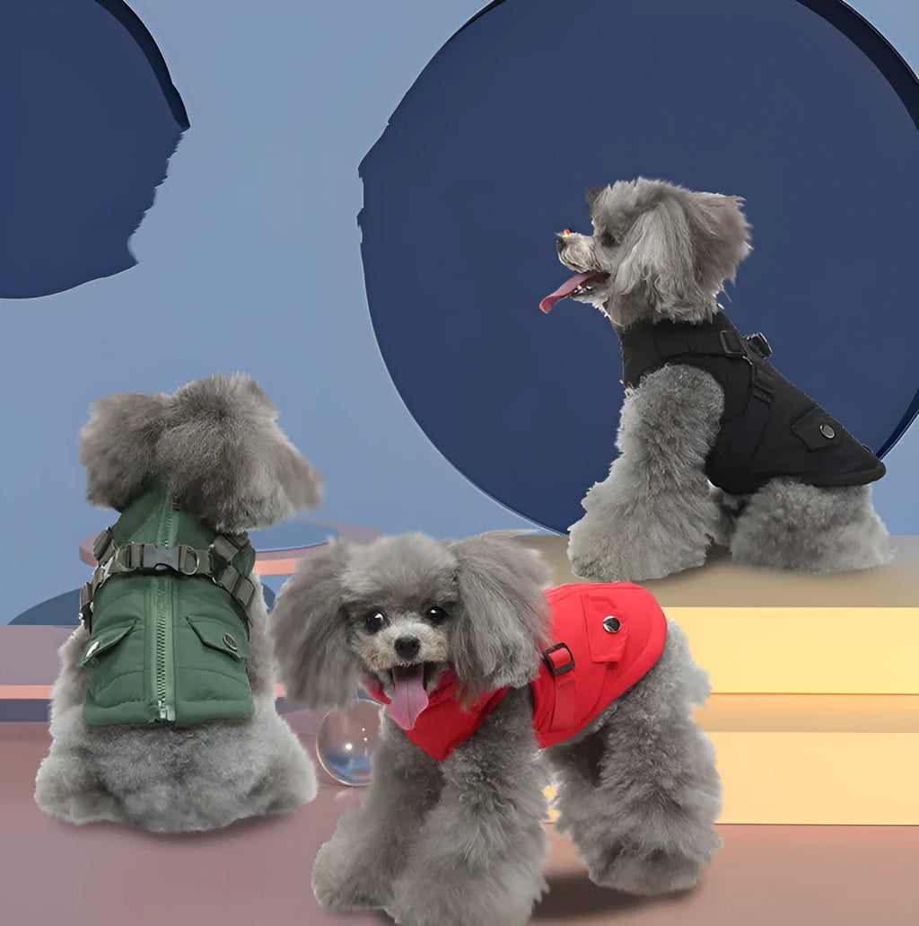 Pet winter cotton dog coat with zipper jacket in black, suitable for small to extra-large dogs