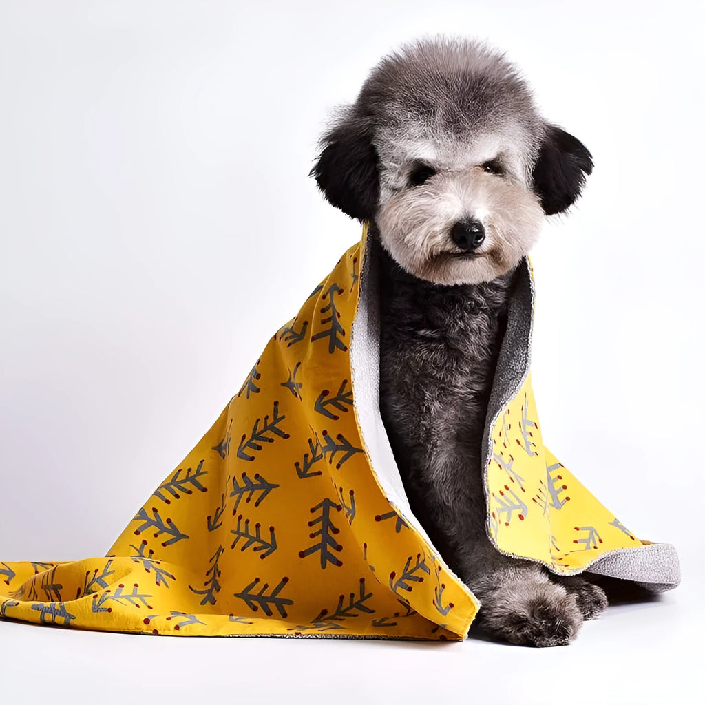 Cotton velvet pet blanket with dinosaur print in various sizes on a dog bed.