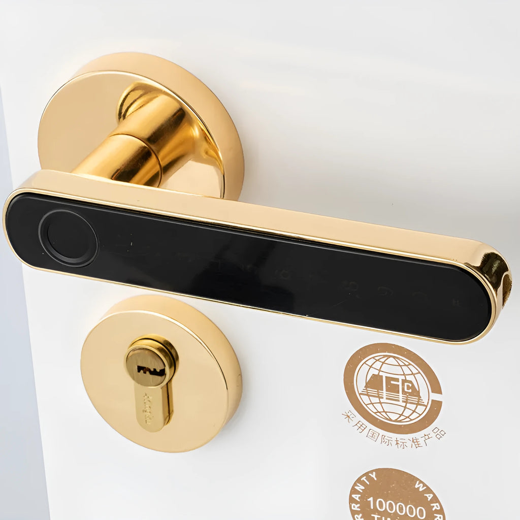 Smart door lock in black with fingerprint sensor in handle, supporting app, password and key unlocking