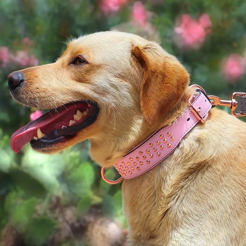 Leather dog collar with metal anti-bite rivets in chocolate, pink, or black colour for medium to large dogs
