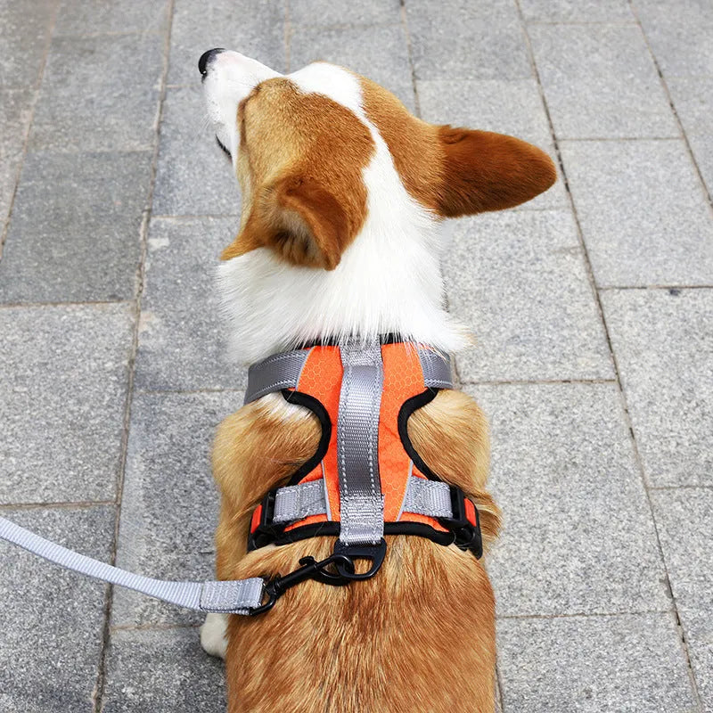 Polyester dog harness vest with hand-holding rope in multiple colour options