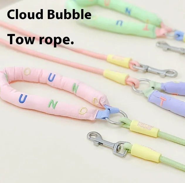 Polyester dog leash with hand holding rope design in four colour options