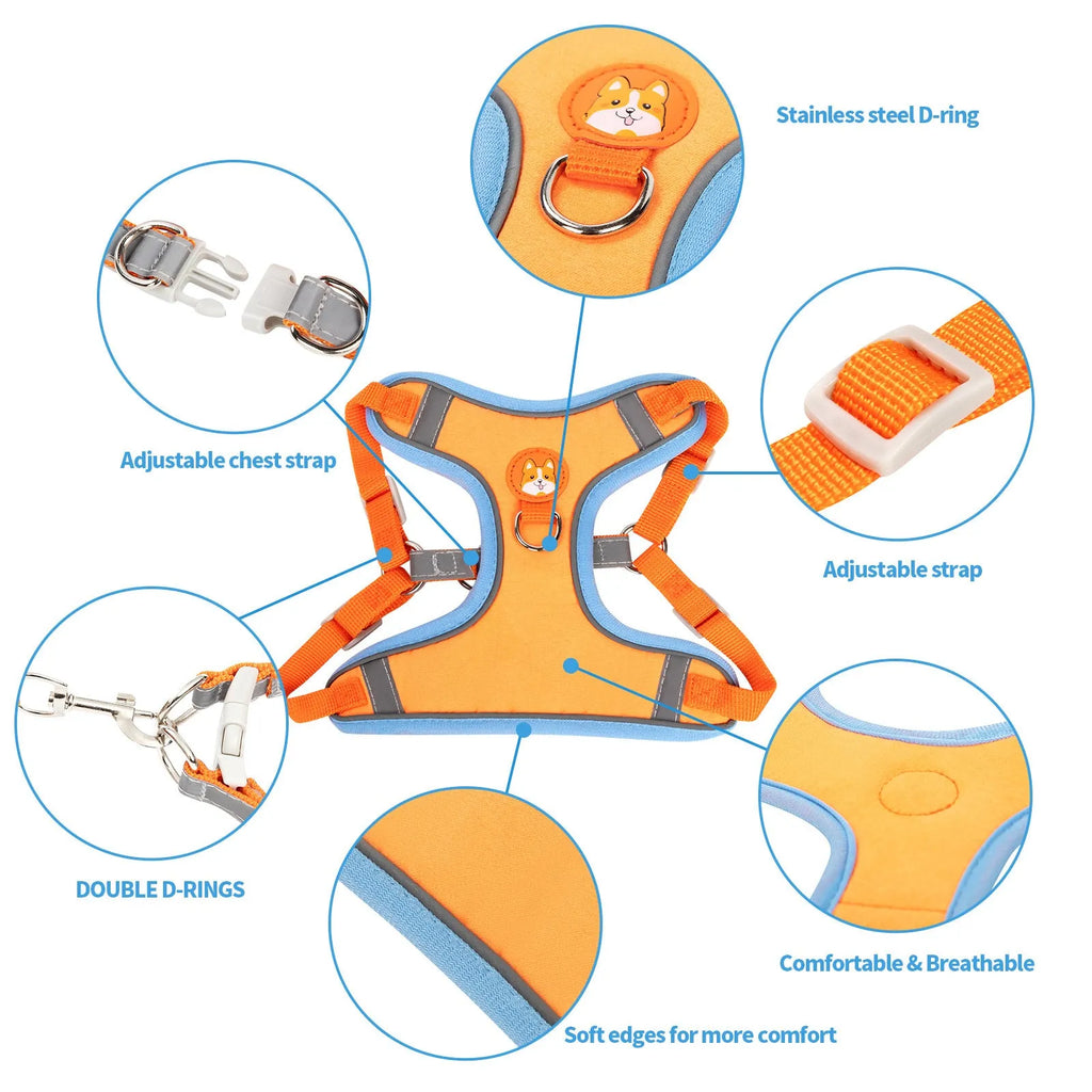 Adjustable dog harness with haulage rope in multiple colours and sizes for pet control