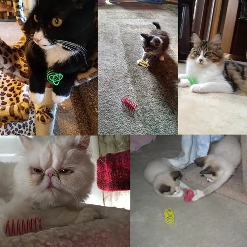 Mixed colour plastic cat spring toys measuring 5.5cm long for kitten and cat play