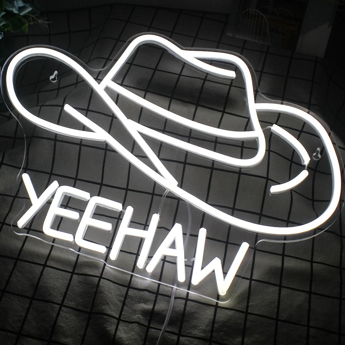 Cold white LED neon atmosphere light 40x27cm IP67 dimmable decorative sign for indoor and outdoor use