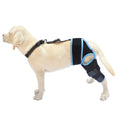 A neoprene dog hind leg knee brace assist strap shown in multiple colours including black, blue, and orange.