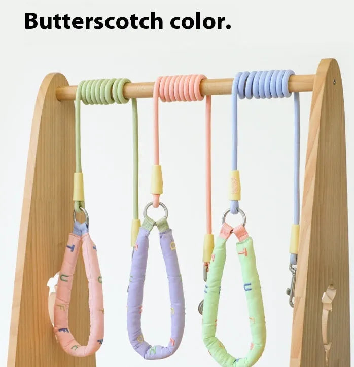 Polyester dog leash with hand holding rope design in four colour options