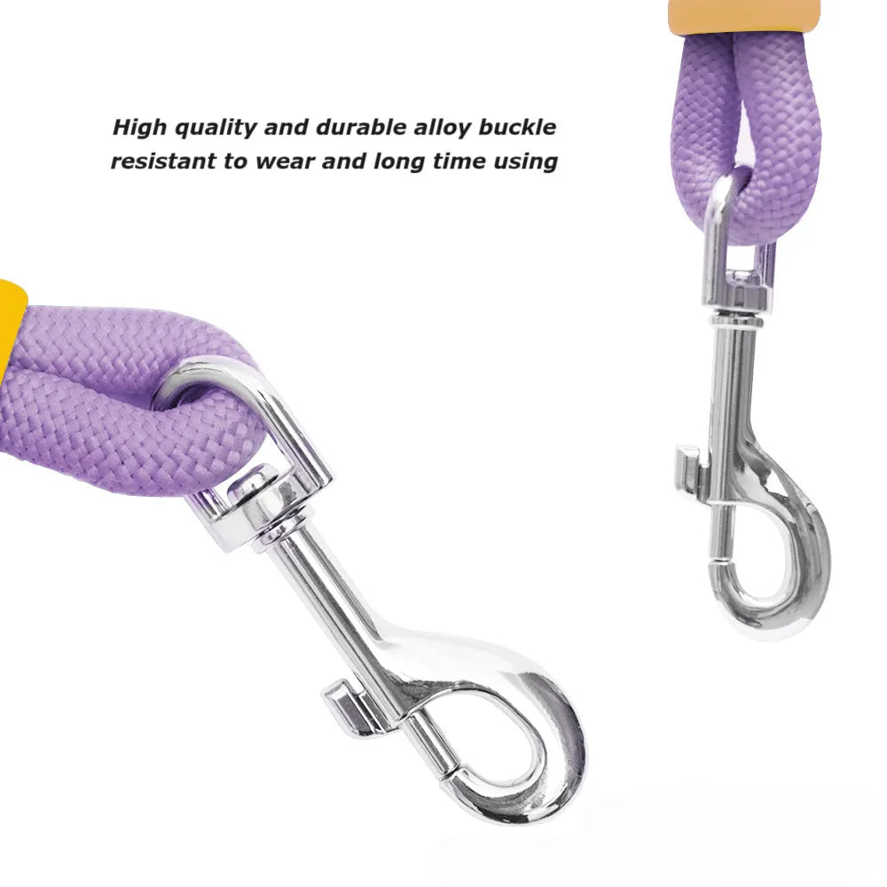 Nylon dog traction leash with foam handle in four colour options showing 140cm length
