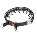 Stainless steel spike dog training collar in reflective blue, shown in size L for medium dog breeds.