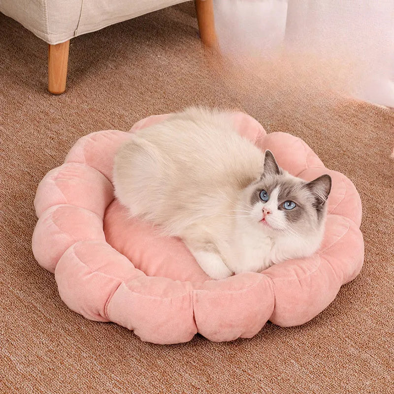50x50cm double-sided plush pet bed with half-surrounded design in multi-colour petal pattern