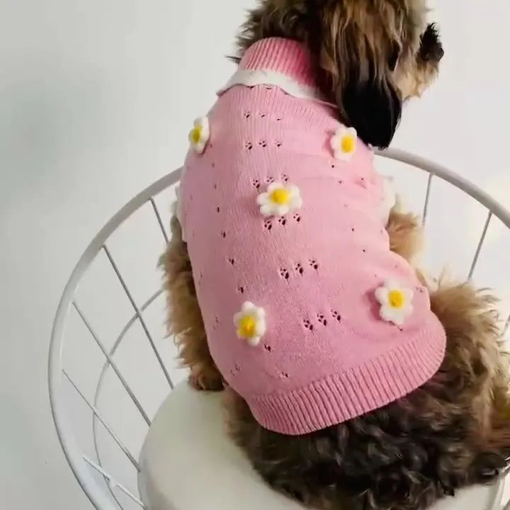 Green floral print knitted sweater for a small dog showing the fit and blossom pattern.