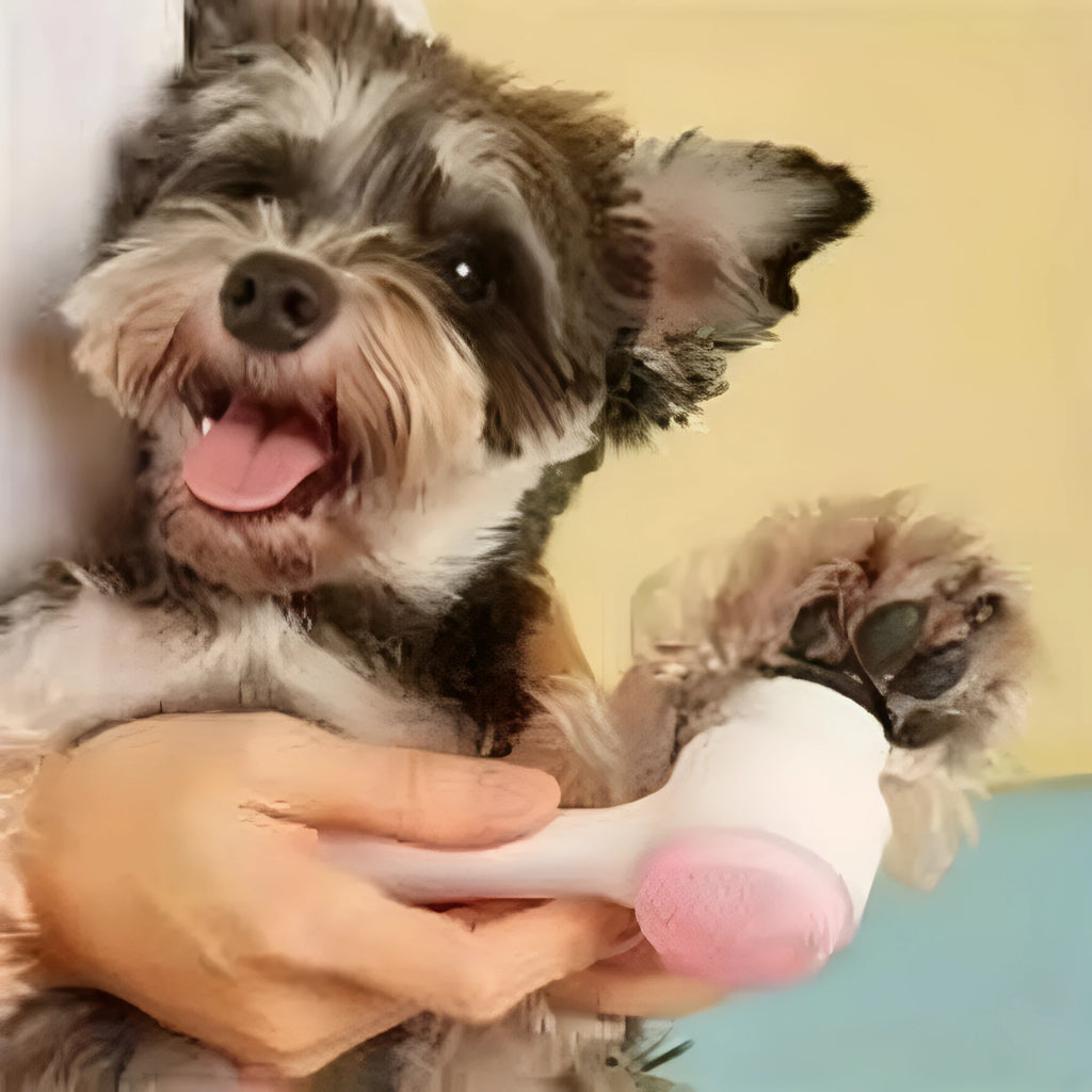 Blue and pink easy-clean nylon pet paw brush for dogs and cats on a white background.