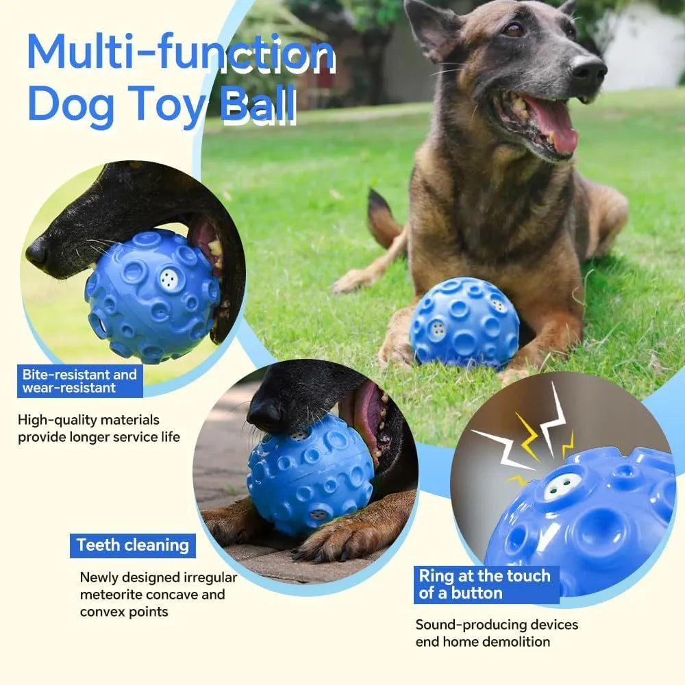 Durable dog chew toy ball with coloured rubber surface featuring tooth-cleaning bumps