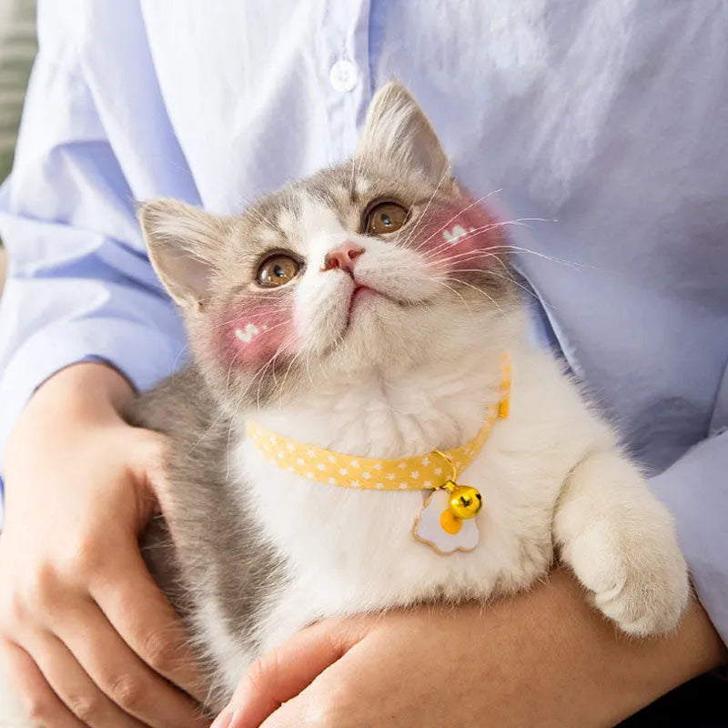 Green adjustable cat collar with bell pendant and bow tie attachment for small dogs