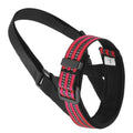 Adjustable reflective dog muzzle in blue on a large dog, showing straps and breathable design
