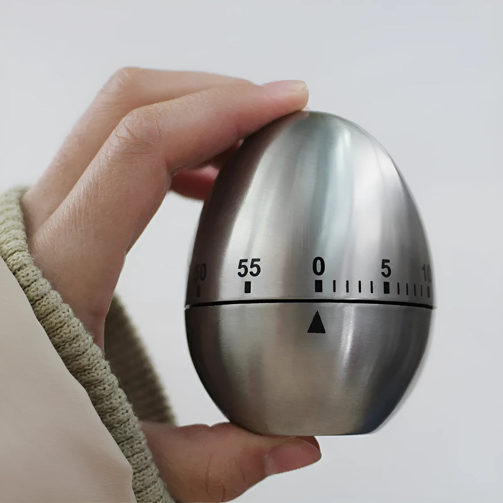 Stainless steel mechanical kitchen timer with egg-shaped design showing 60-minute dial