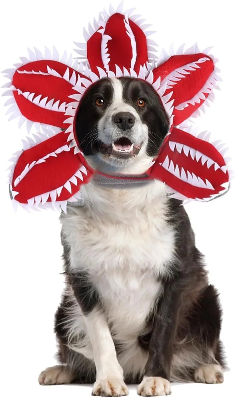 Dog wearing Halloween costume with demon hat headband and flower collar