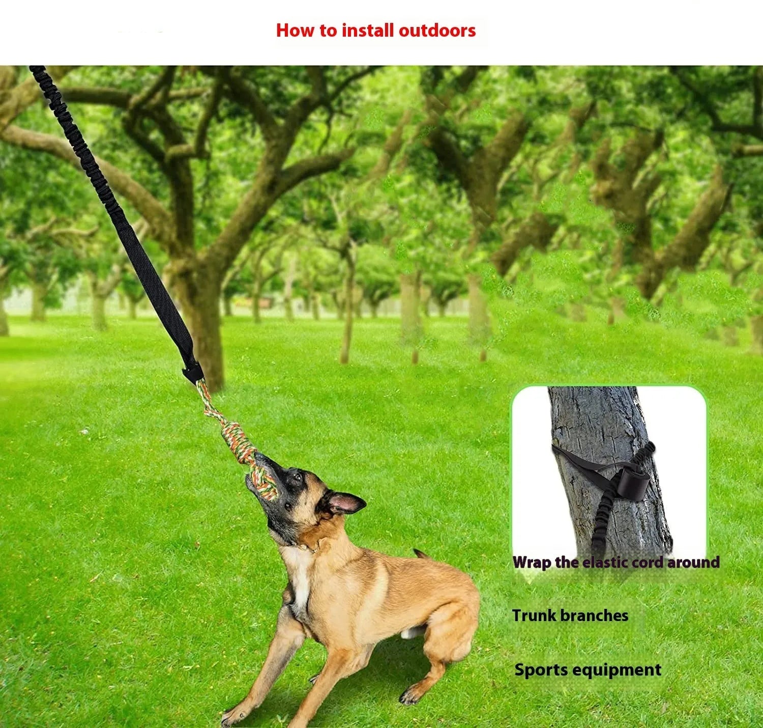 A black, grey, or red cotton rope dog tug of war toy for interactive play.