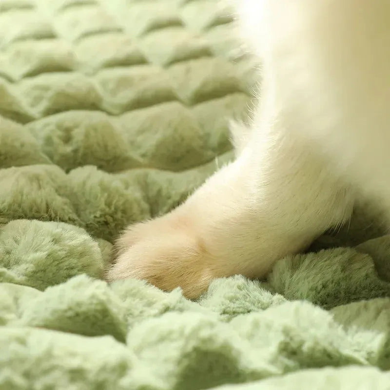 Large detachable dog bed mat in grey colour, shown with removable cover partially unzipped.