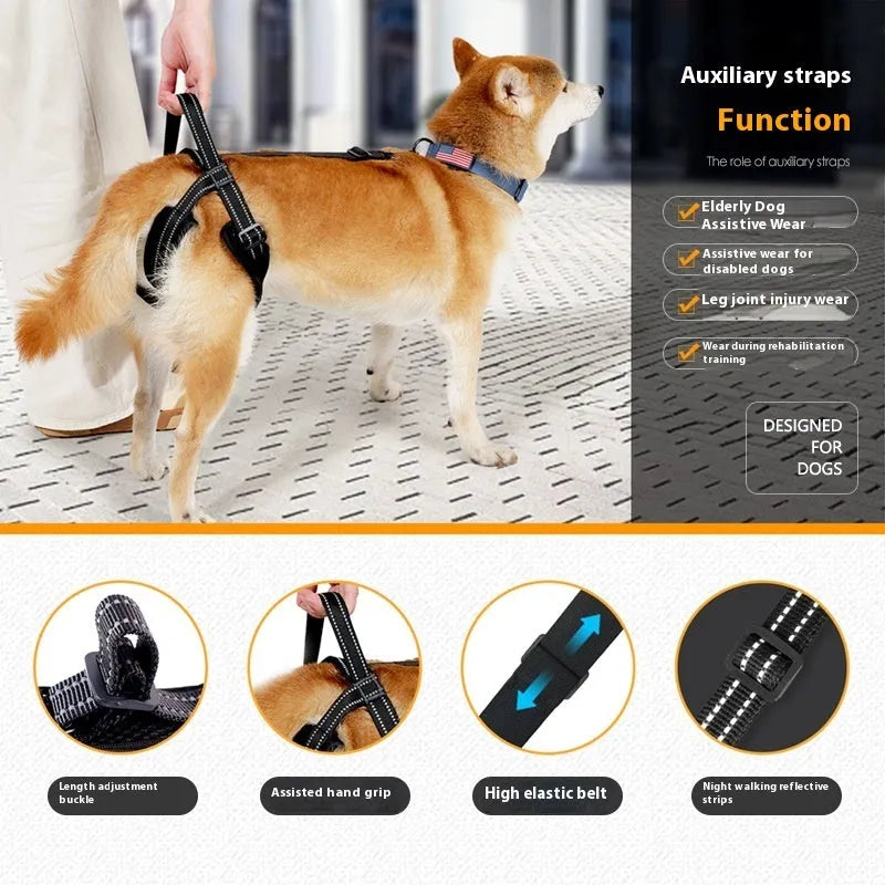 Black polyester pet rehabilitation hind legs auxiliary strap on a flat surface, with size label visible