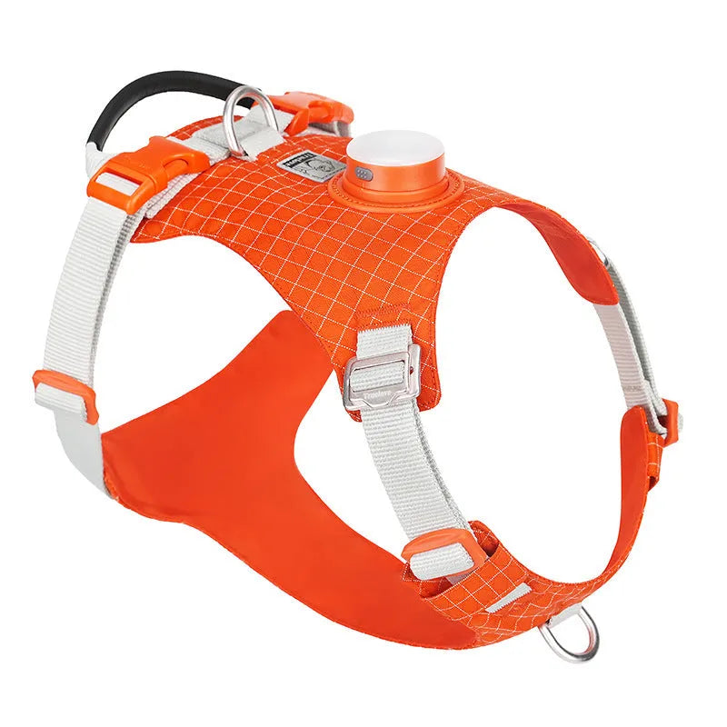 Nylon dog chest harness with LED light in multiple colours