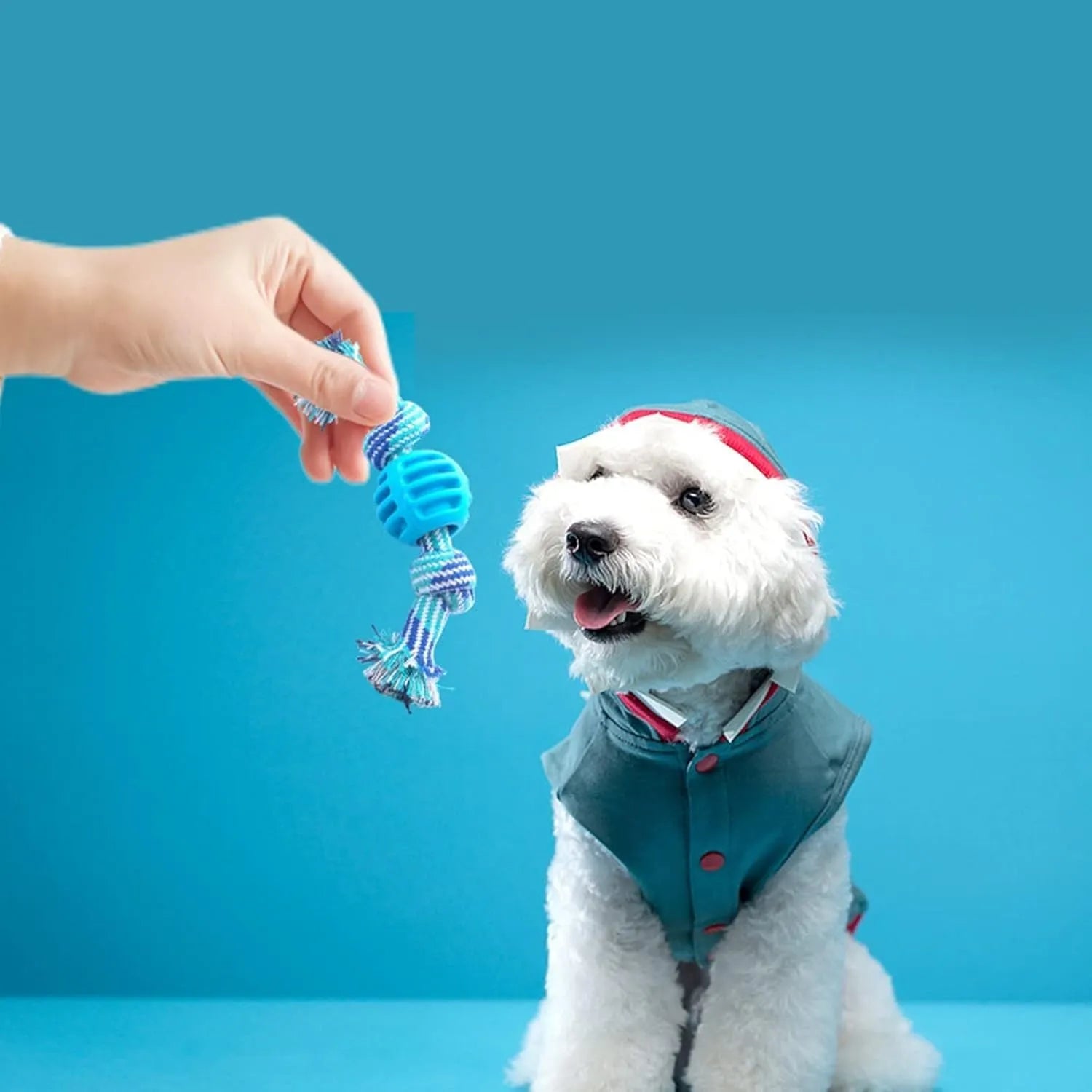 Blue soft dog chew toy with white ropes for cleaning teeth