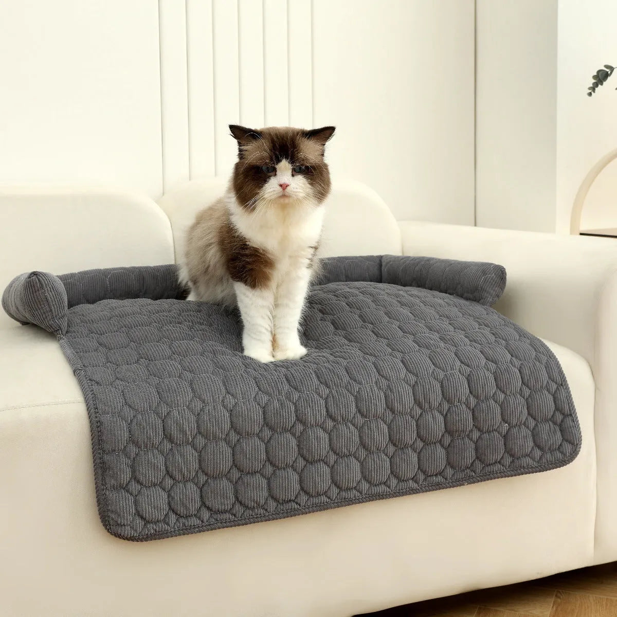 Corduroy pet bed mat with neck pillow, 75cm x 75cm, 900g, in Beige or grey for dogs and cats