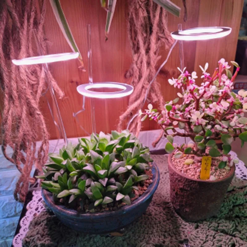 USB-powered full spectrum LED grow light with angel ring design for indoor plants