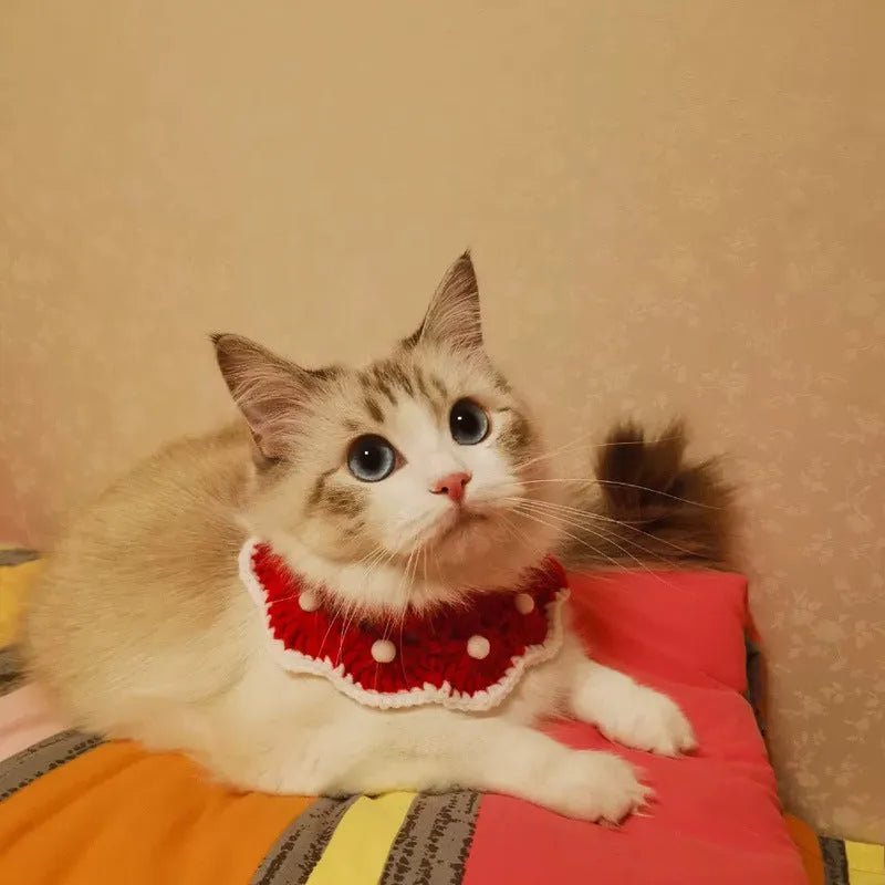 Hand-knitted milk cotton pet collar in cartoon pattern for costume decoration on cats dogs rabbits