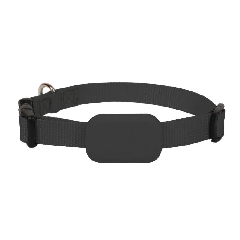Black Bluetooth pet positioning collar for cats and puppies with an adjustable strap.